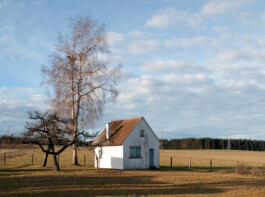 albrecht-schaefer-auf-freiem-feld-2025-atelierhaus-jakob-braeckle-foto-2014 