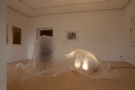 albrecht-schaefer-ocellus-2010-installation-kunststiftung-baden-wuerttemberg-2014.jpg 