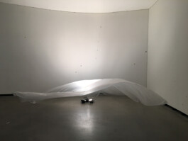 albrecht-schaefer-ocellus-2010-installation-marta-herford-2011.jpg 