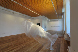 albrecht-schaefer-ocellus-2010-kunstverein-goetthingen-2011.jpg 