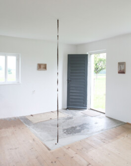 albrecht-schaefer-auf-freiem-feld-2025-atelierhaus-jakob-braeckle-installation-view1.jpg 