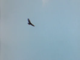 still of