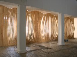Albrecht Schäfer, Welle/Swing, 2008,
